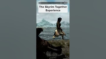 The Skyrim Together Experience