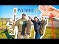 Walmart RACCOON TRAPPING Challenge!!! ( CATCH CLEAN COOK )