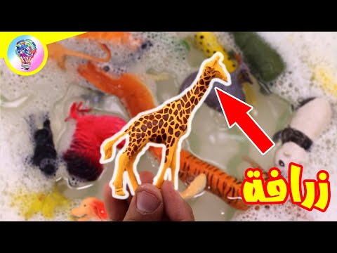 لعبة مجسمات الحيوانات للاطفال مرحلة ما قبل المدرسة