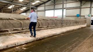 Calving facilities with O’Donovan Engineering