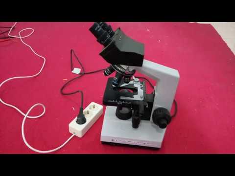 Memperbaiki Microscope | Lampu Mati