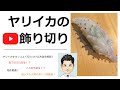 にぎり寿司用！かっこいいイカの飾り切りのやり方解説