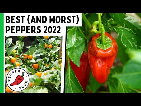 Video: Sind Jimmy Nardello Paprika scharf?