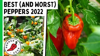 The Best (And Worst) Peppers Of 2022  Pepper Geek