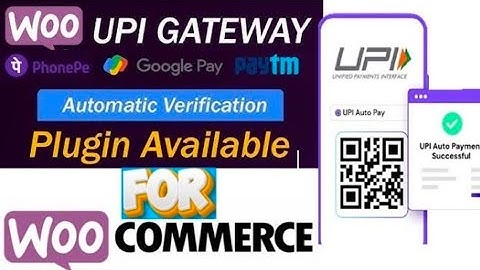 Best UPI Payment Gateway Plugin for WordPress FREE 🔥 | QR Code UPI WordPress Payment Plugin