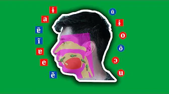El fonema /a/ del portugués europeo: La "a" abierta.