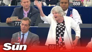 Ann Widdecombe's explosive rant at the EU Parliament screenshot 5