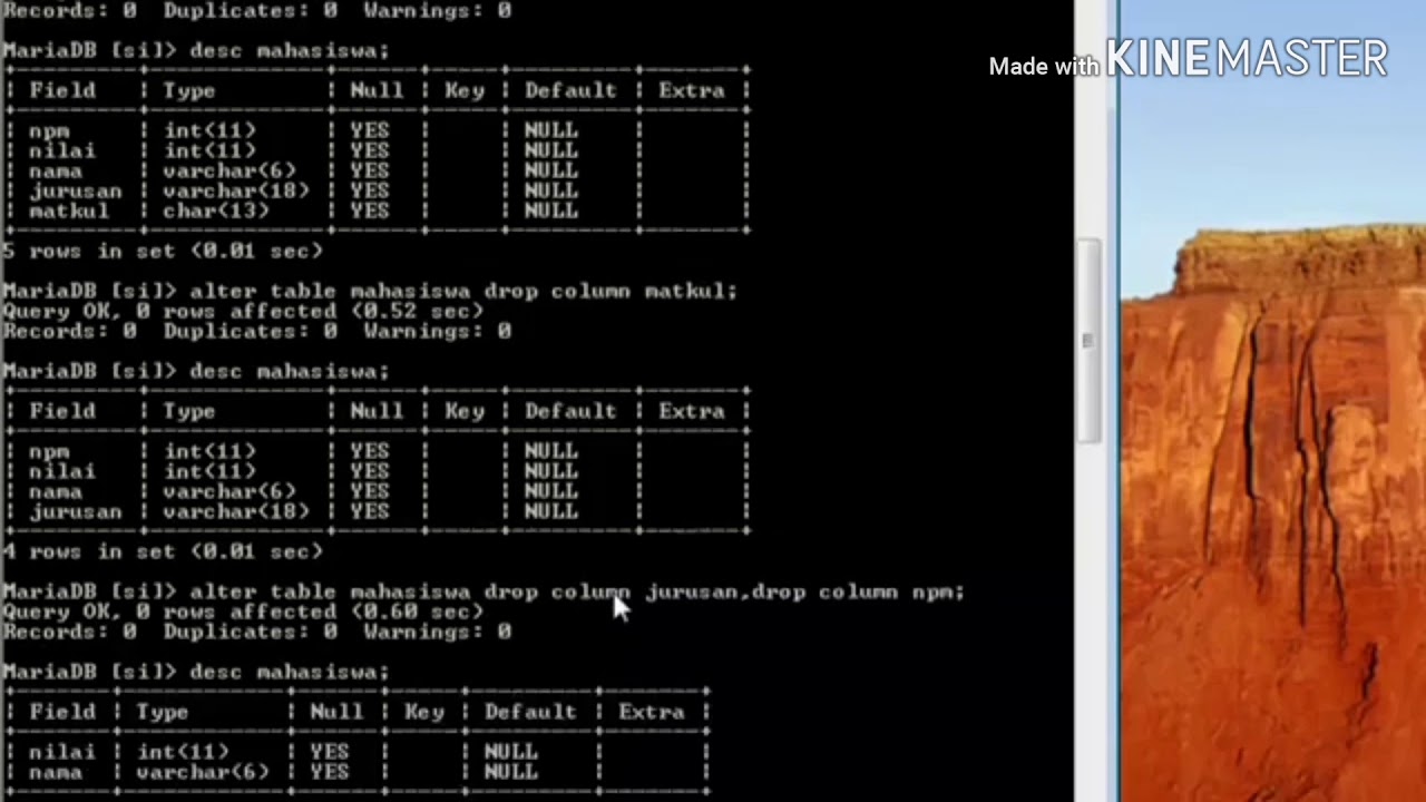 cara create database mysql d cmd