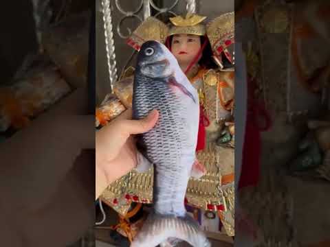 Cat Toy Fish
