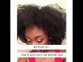 Moisture 101: How to Moisturize Dry Natural Hair