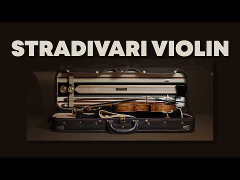 Video: Kuinka monta stradivarius-viulua on nykyään olemassa?