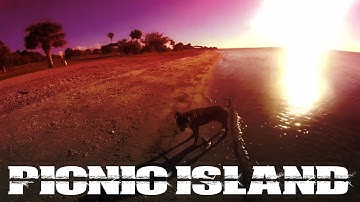 A look inside: Picnic Island