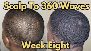 Scalp To 360 Waves - Week 8