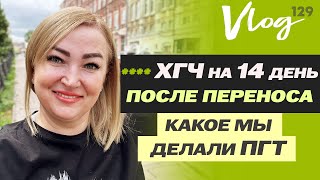 картинка: ЭКО. ХГЧ на 14 ДПП // Динамика // Клексан // ПГТ