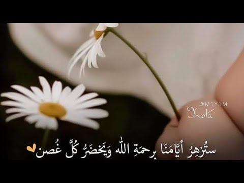 مادة التحرير الاداري الاستدعاء  