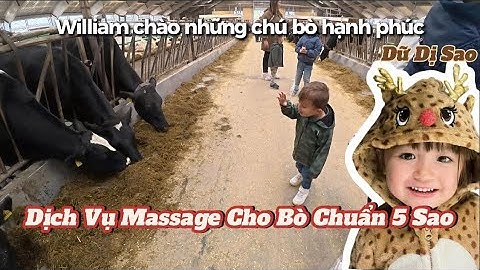 Một ngày ở nông trại Đan Mạch cùng đám nhỏ | Bất ngờ với máy vắt sữa bò tự động! | Vinh DK