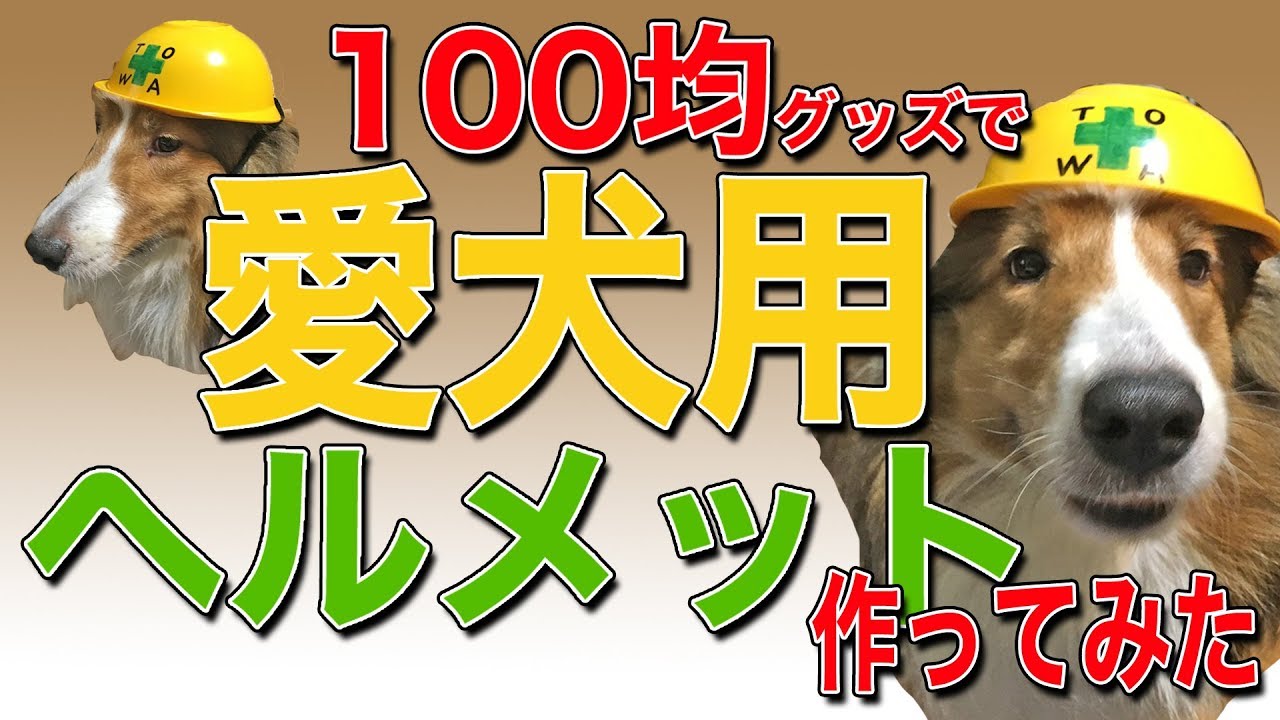 愛犬用ヘルメットを１００均グッズで作ってみた Youtube