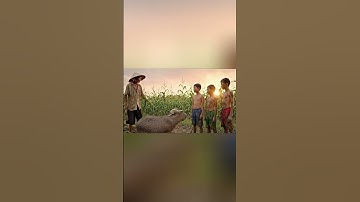 Capybara nay giỏi lắm nà cô chú ơi #capybara #trending #ytshorts