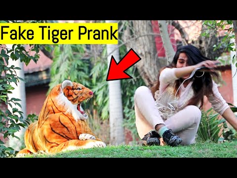 Fake Tiger Prank - Pranks in Pakistan - LahoriFied