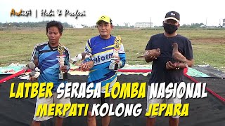 LATBER MERPATI KOLONG | Rame Seru || Serasa Lomba Nasional - Jepara || MerpatiVlog