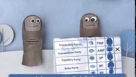 How to fill in a Ballot Paper (English) - IEC