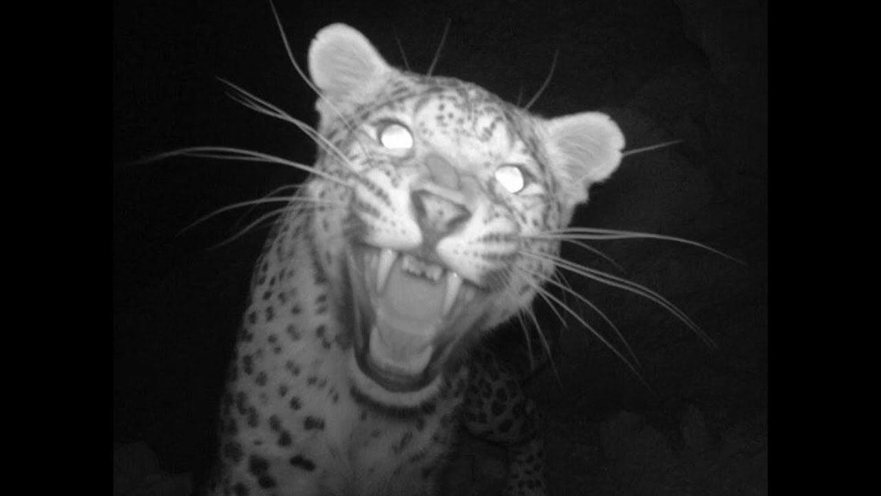 Rocket - Убитый (yunpronto remix)