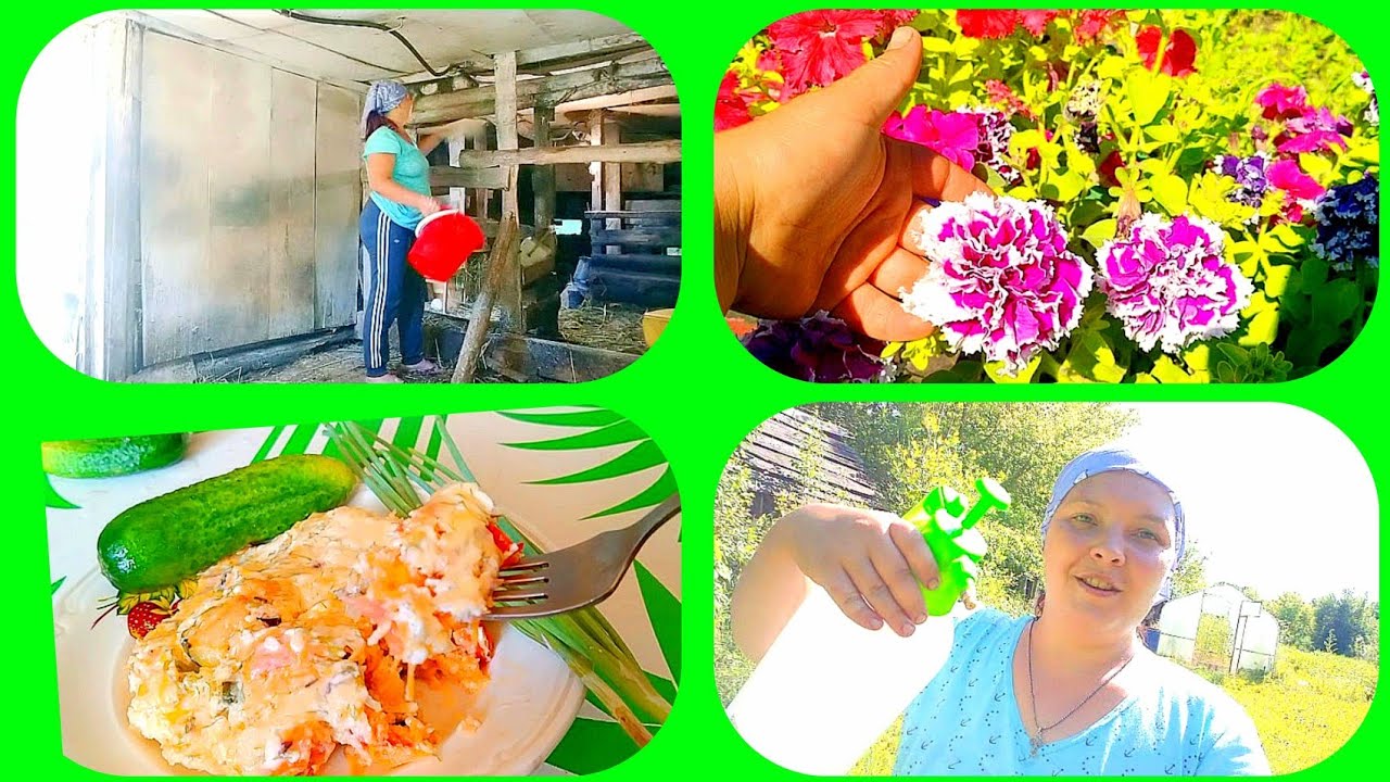 Накормить детей летом//на огороде нечем хвалиться//навела порядок в ...