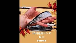 fresh sanma 😋for sashimi Resimi