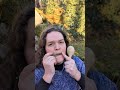 Jaw harp and maracas in the forest ☀️🦋🌲 #jawharp #guimbarde #forest #morchang