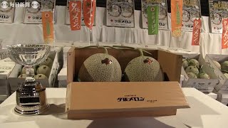 夕張メロン初競り、過去最安値大幅に下回る2玉12万円　コロナの影響大きく