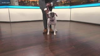 Sammy's Stars: September 27, 2019