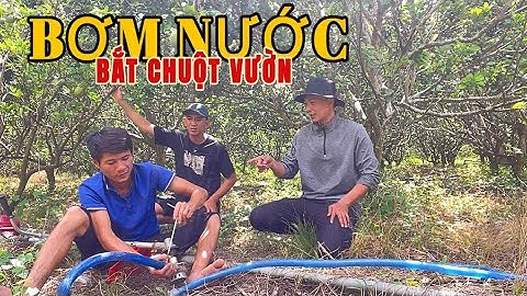 Bơm Nước Bắt Chuột Vườn Bằng Máy Cắt Cỏ Nướng Nhậu Lai Rai.LPQT#100