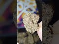Doja Helium strain 🍃