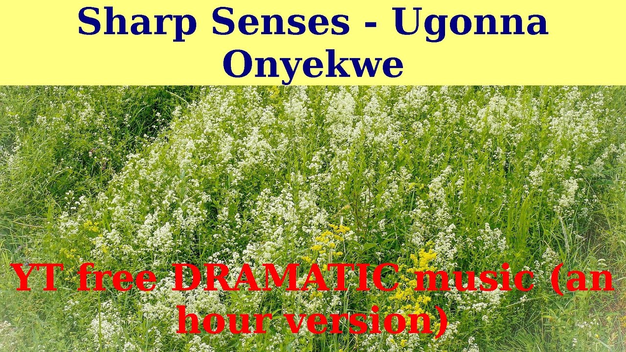 Sharp Senses by Ugonna Onyekwe. An hour version.