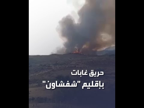المغرب حريق في منطقة الغابات بإقليم شفشاون