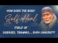 How does the body self heal itself of diseases traumas even cancerdi jaansaibisa