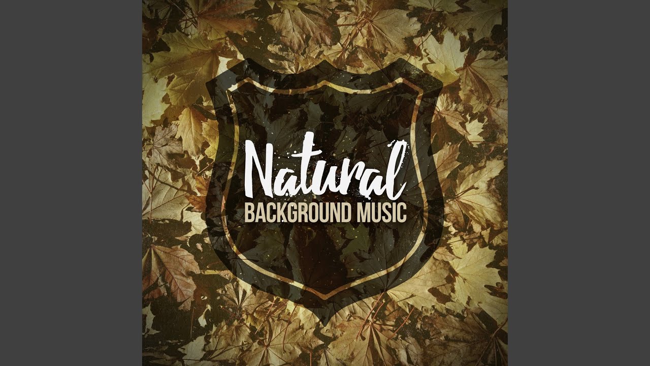 Birds in the Forest Canopy