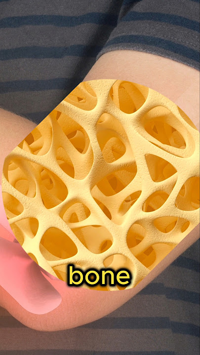 Should you drink carbonated water? 🫧🦷🦴 #shorts #sparklingwater #viral