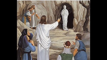 W3EE Lazarus Project - Toxicity Overhaul Guide