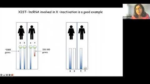Non-coding RNAs and regulation of epigenome by Aditi Kanhere