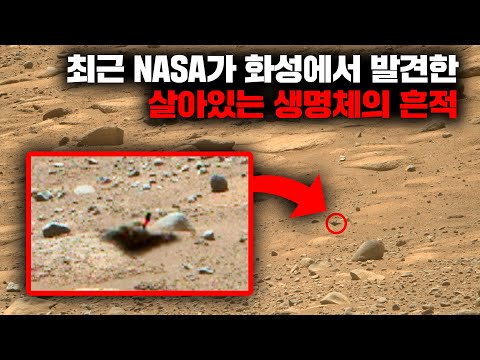 최근 NASA에 의해 실제로 발견된 화성의 생명체 흔적과 징후들 [미스터리]