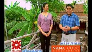 ฟุด ฟิด ฟอ ไฟ -- rural / urban