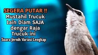Trucukan GACOR ngalas ROPEL PANJANG suara alam AMPUH buat pancingan jadikan trucuk Gacor GARUDA
