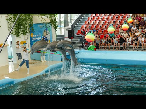 Video: Varna Dolfinarium beschrijving en foto's - Bulgarije: Varna