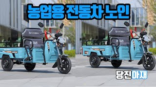 전동차소형 전동운반 운반차 농업용소형  현지94명구입