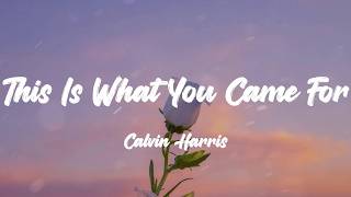 Download lagu Calvin Harris - This Is What You Came For (Lyrics) | Pitbull, Rihanna,... (Mix Lyrics)