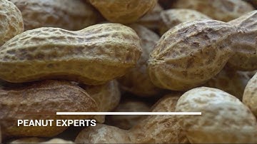High specialization of Importaco in Almond, Peanut and Hazelnut