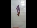 paper chair | how to make a chair with paper | chair making paper chair | how to make a chair with paper | chair making