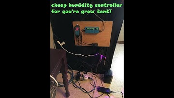 Great humidity controller for growing, Inkbird! 50$ on amazon LINK In discription!