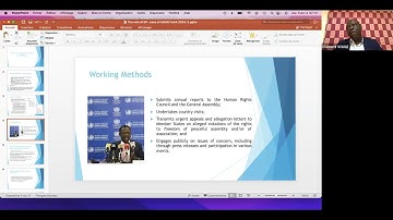 The UN Human Rights Accountability Mechanisms: The Special Procedures